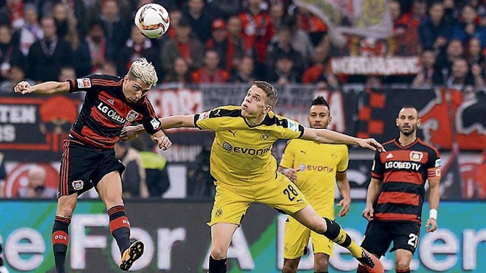 山东内线双塔统治力恐怖（山东双塔内线统治力惊人）