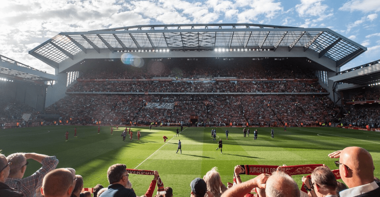 厄德高谈晋级世界杯：这种感觉无法用语言形容，简直疯狂至极（厄德高：晋级世界杯的感觉难以言表，疯狂到极致）